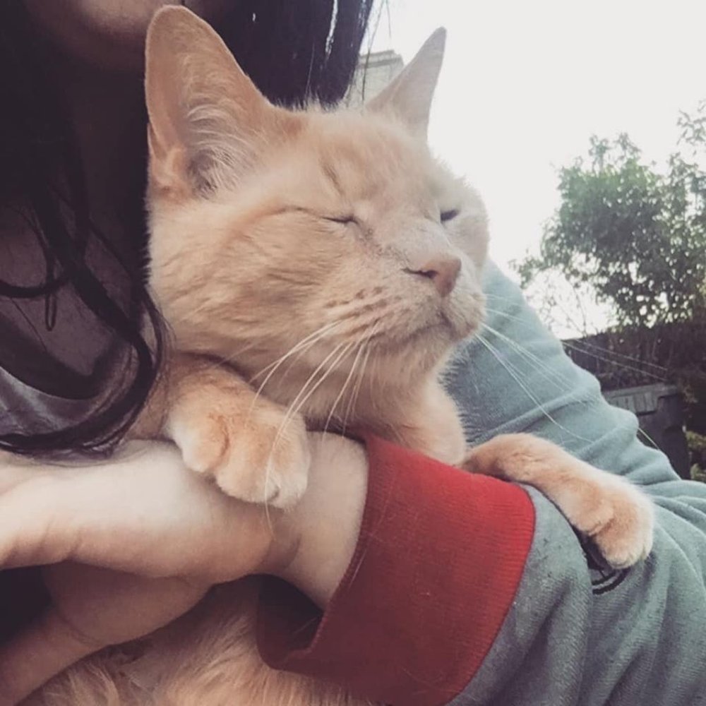 Meet your Posher, Lexi